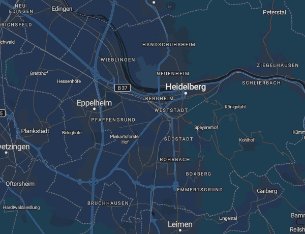 Karte von Heidelberg